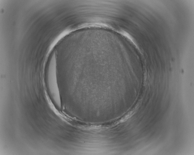X0000081441038200701261842