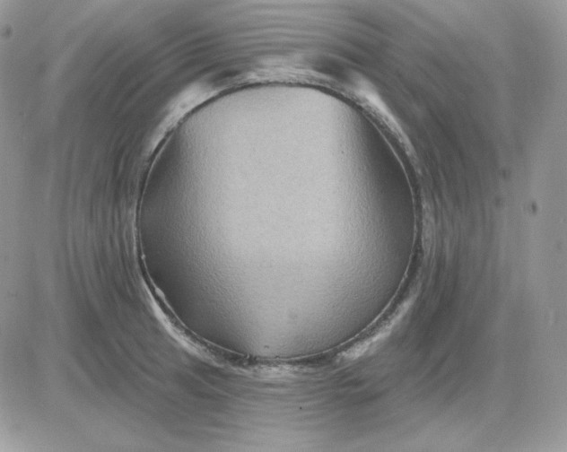 X0000081441041200701261842