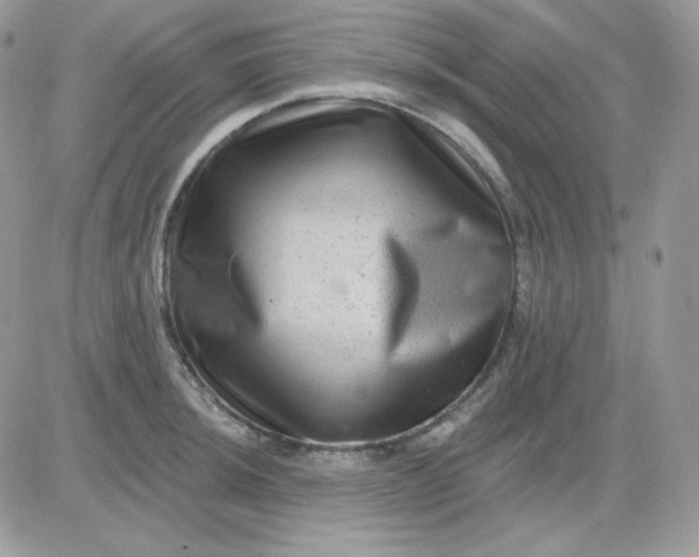 X0000081441044200701261843