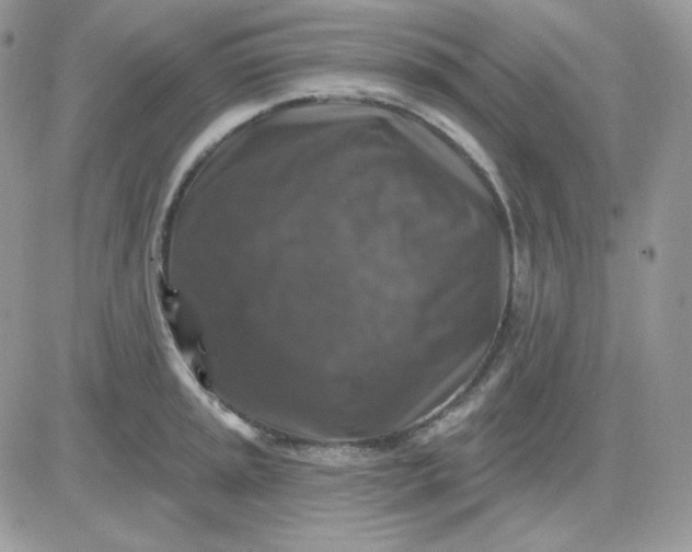 X0000081441045200701261843