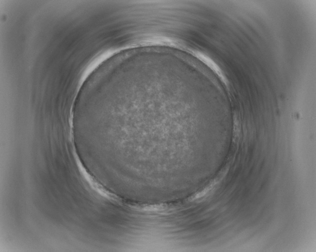 X0000081441047200701261843