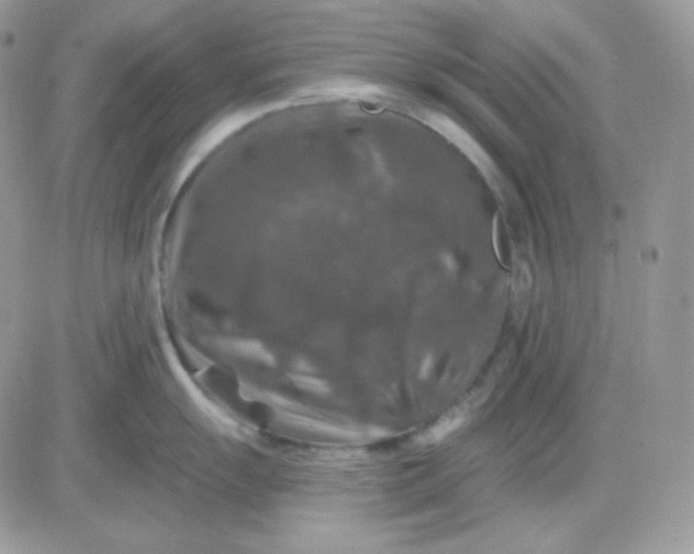 X0000081441055200701261843