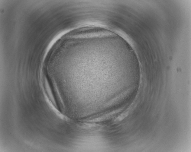 X0000081441056200701261843