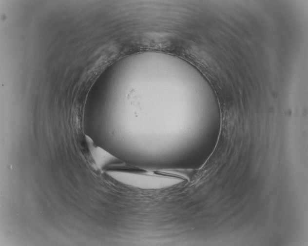 X0000081441058200701261842