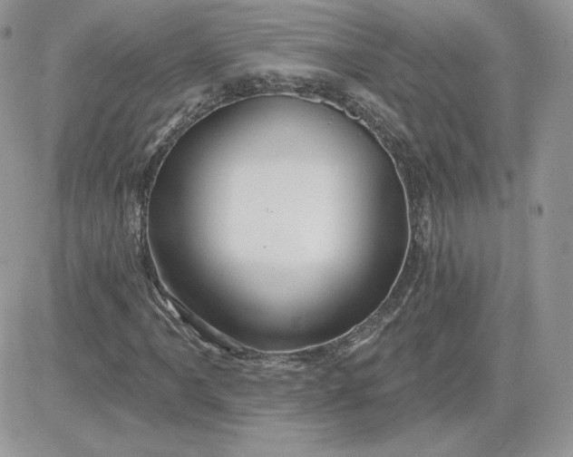 X0000081441061200701261842