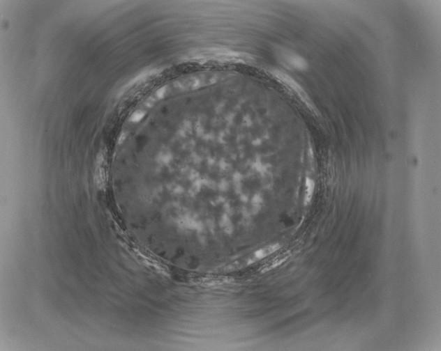 X0000081441063200701261842