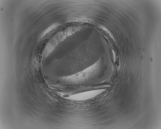 X0000081441064200701261842