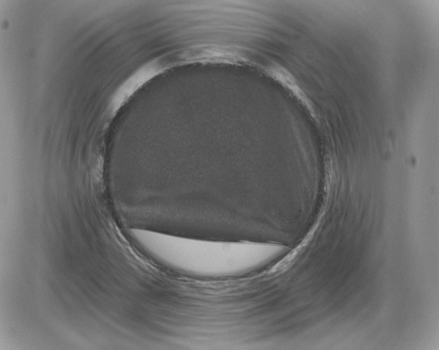 X0000081441066200701261842