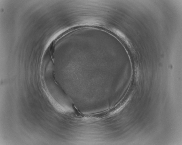 X0000081441077200701261842