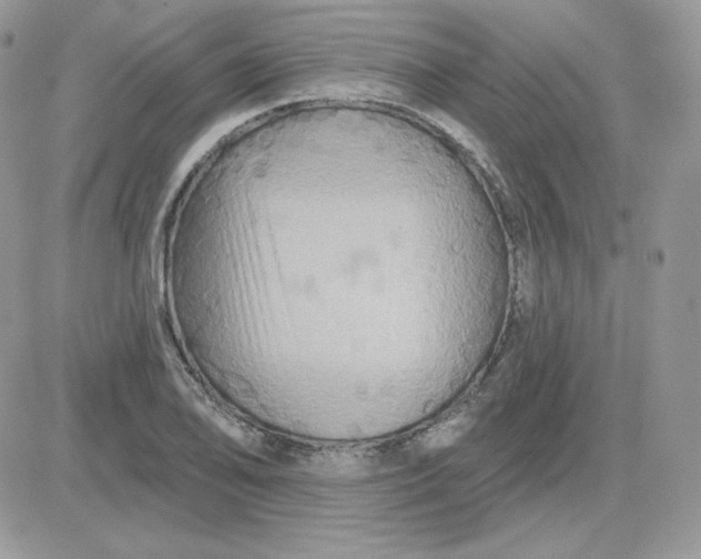 X0000081441078200701261842