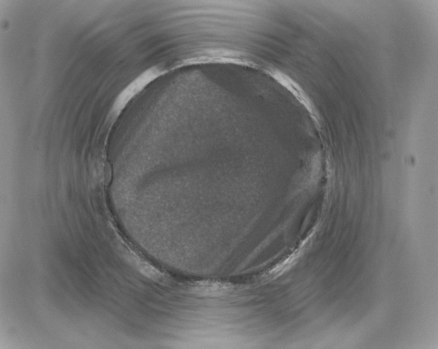 X0000081441081200701261842
