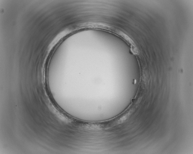 X0000081441082200701261842