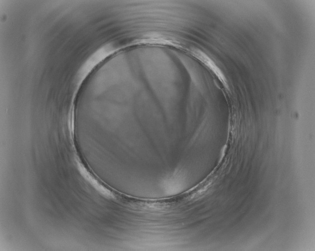 X0000081441084200701261841