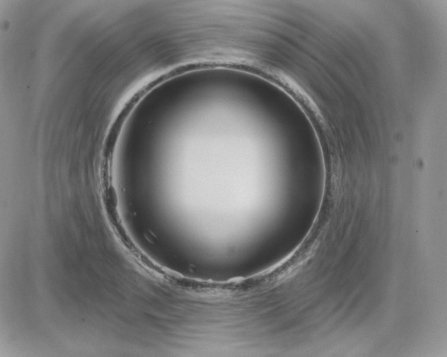 X0000081441085200701261841