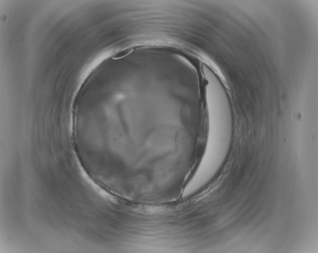 X0000081441095200701261841