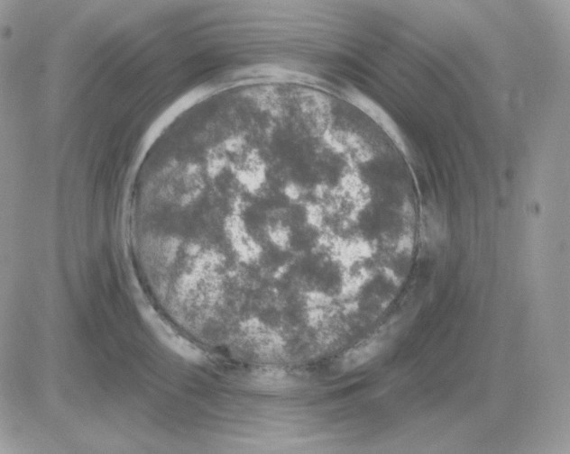 X0000081441098200701261841