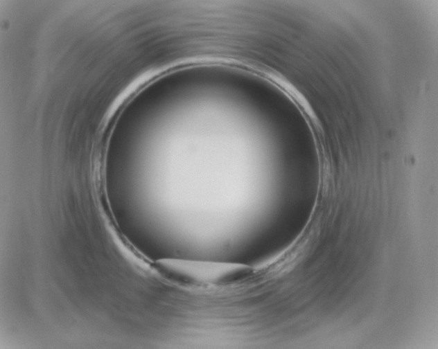 X0000081441101200701261841