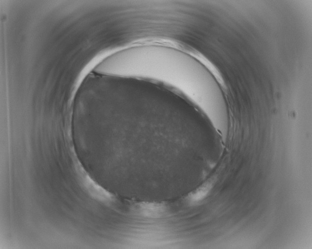X0000081441102200701261841