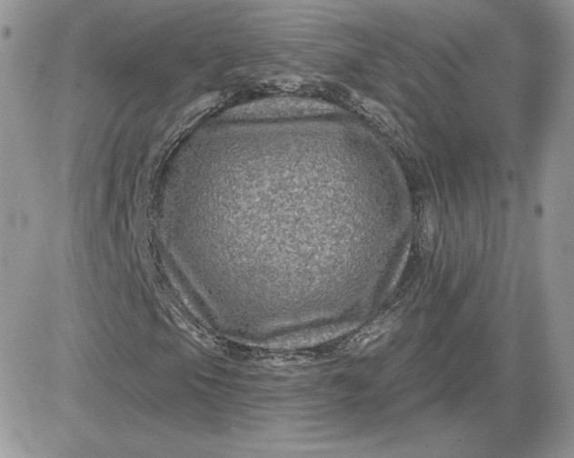 X0000081441105200701261840