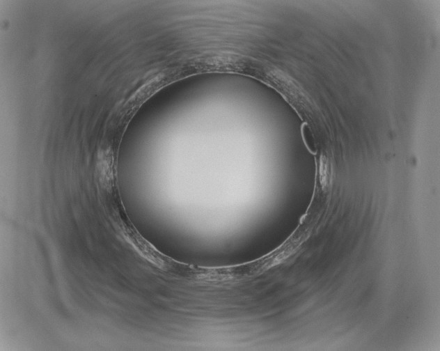 X0000081441107200701261840