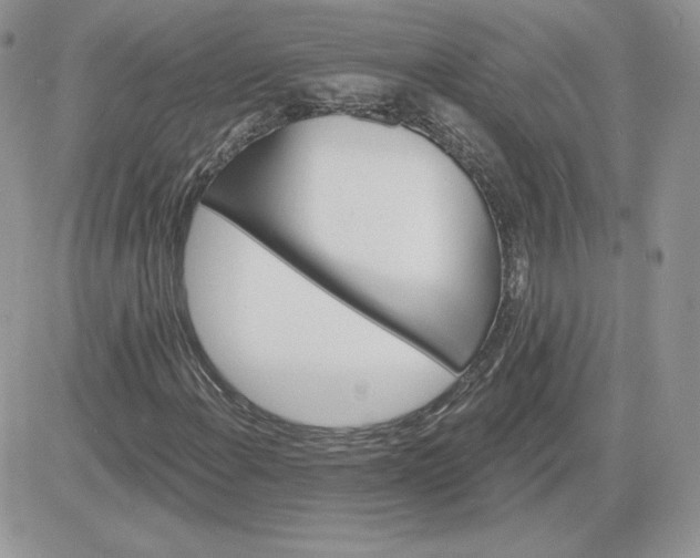 X0000081441108200701261840