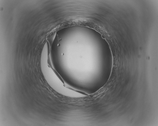 X0000081441109200701261840