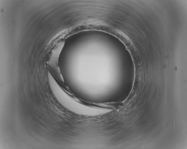 X0000081441112200701261840