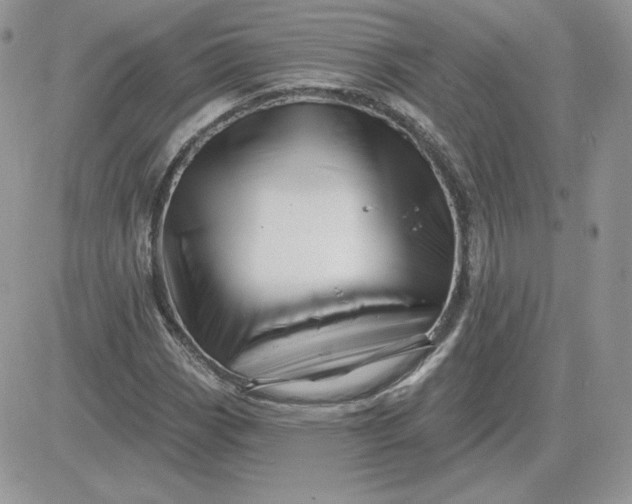 X0000081441113200701261841