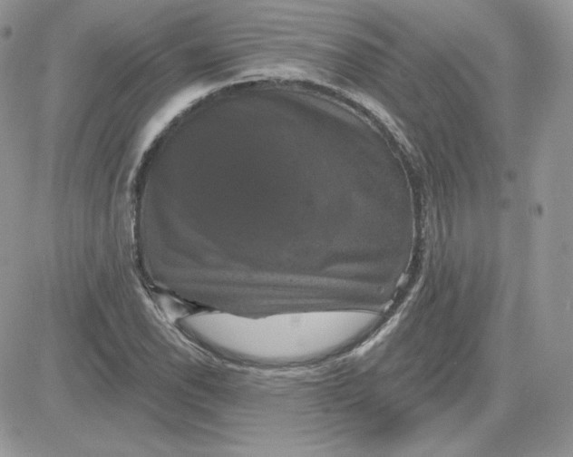 X0000081441118200701261841