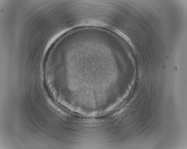 X0000081441120200701261841