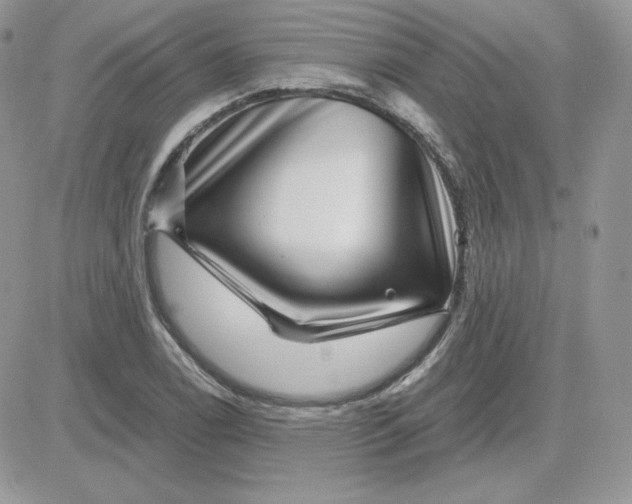 X0000081441122200701261841