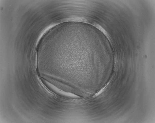 X0000081441123200701261841