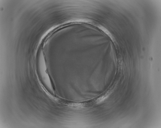 X0000081441127200701261841