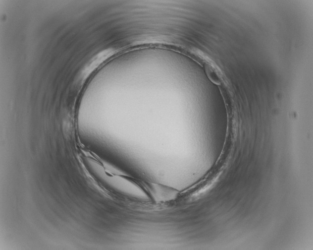 X0000081441129200701261841