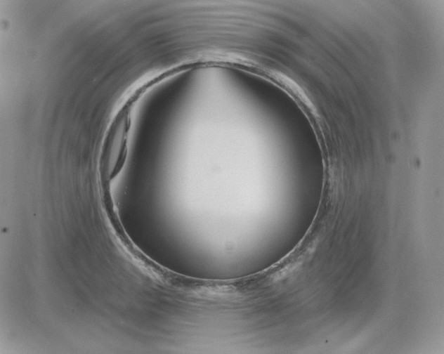 X0000081441133200701261841