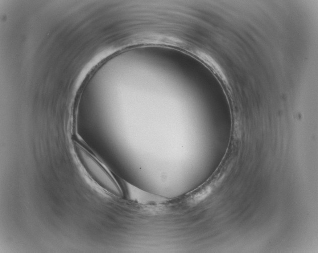X0000081441136200701261841