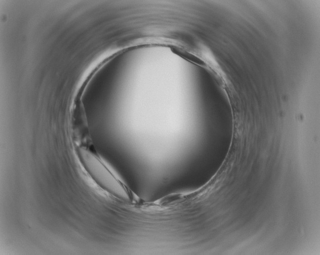 X0000081441140200701261841