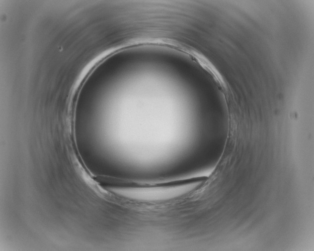 X0000081441148200701261841