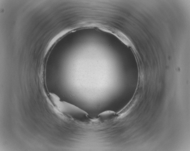 X0000081441149200701261841