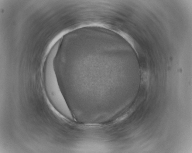 X0000081441151200701261841