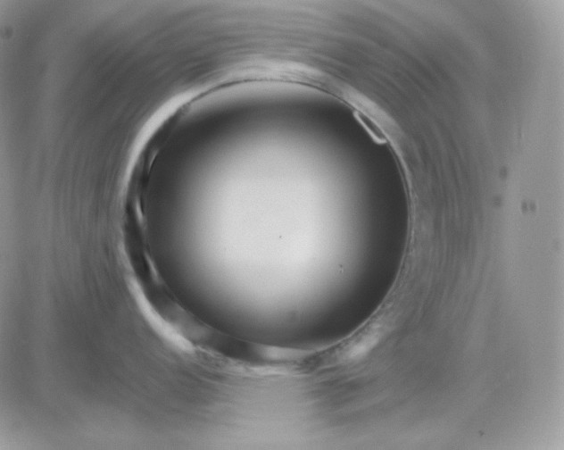 X0000081441152200701261841