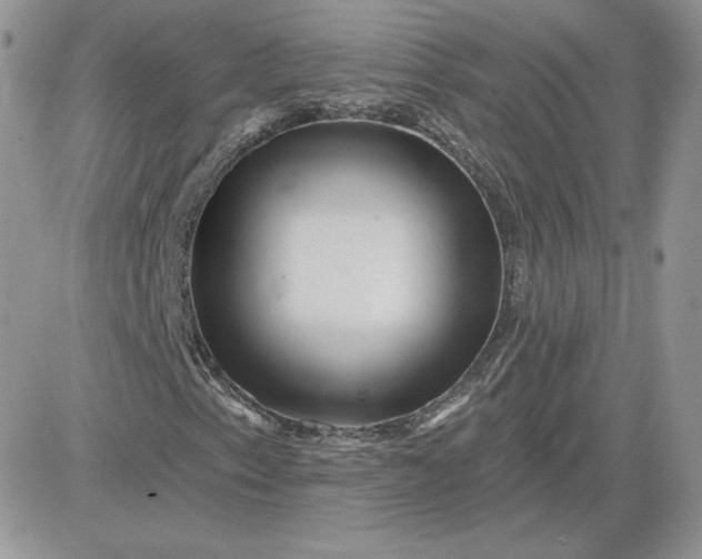 X0000081441153200701261840