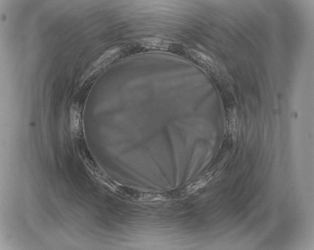 X0000081441154200701261840