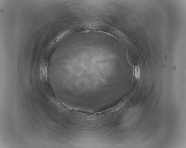 X0000081441155200701261840