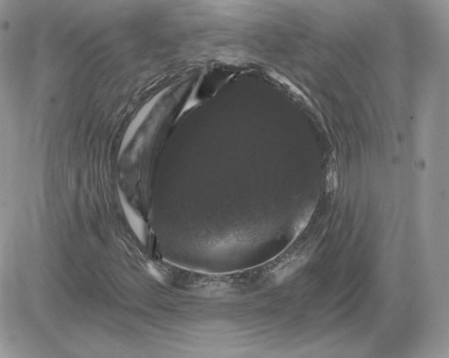 X0000081441156200701261840