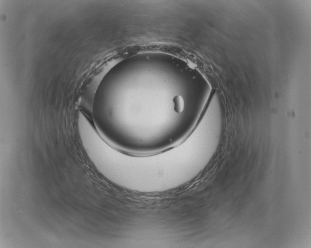 X0000081441157200701261840