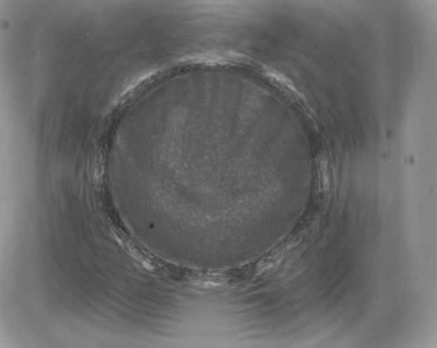 X0000081441158200701261840