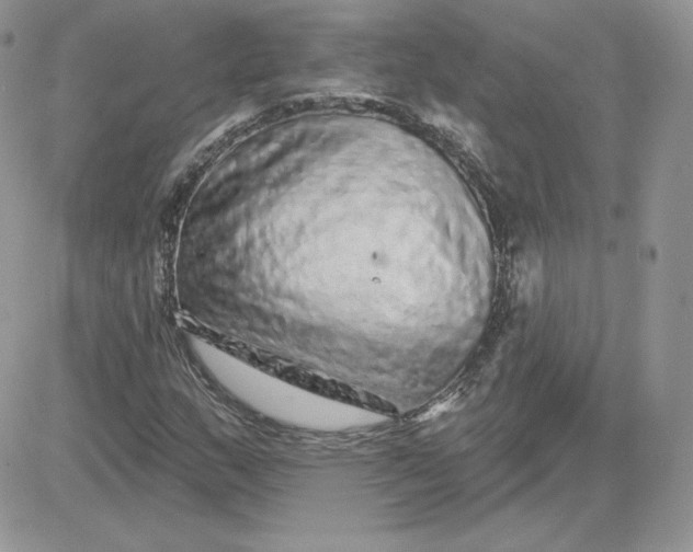 X0000081441159200701261840