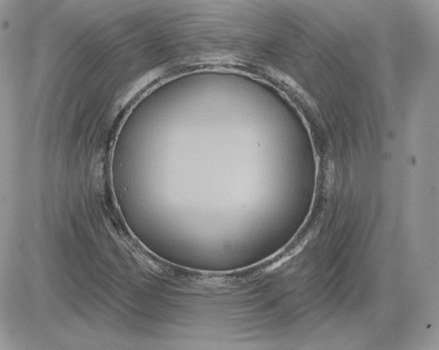 X0000081441162200701261840