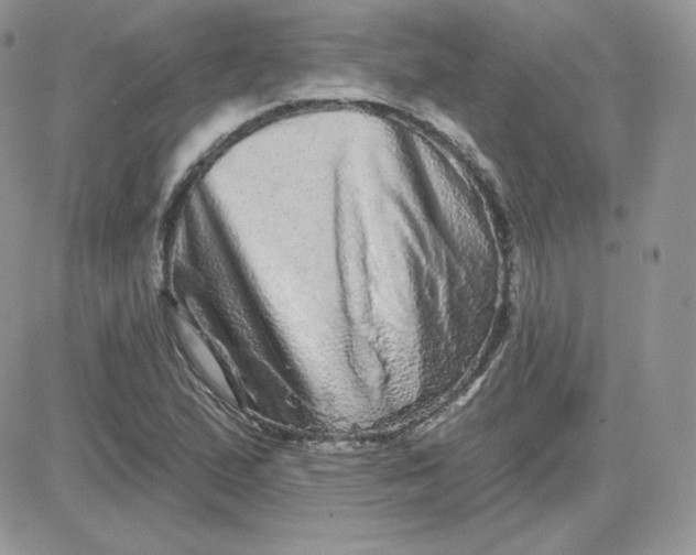 X0000081441167200701261840